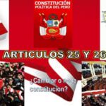 Artículo 8 de la Constitución Política del Perú: Clave en la Lucha contra el Tráfico Ilícito de Drogas