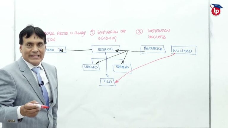 Cómo redactar un modelo de recurso de apelación efectivo contra una resolución que declara fundada una excepción