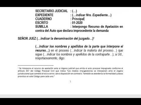 Guía paso a paso para elaborar un modelo de recurso de apelación eficaz contra resoluciones improcedentes en demandas de responsabilidad civil del juez